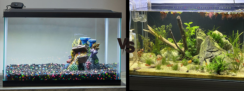 10 vs 20 Gallon Fish Tank