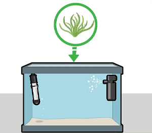 Add Moss: