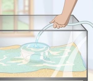 Add Water to The Fish Tank