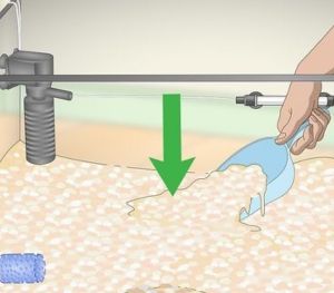 Adding Substrate (Base) to Your Fish Tank