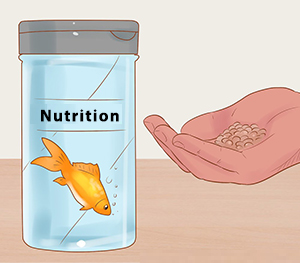 Adequate Nutrition
