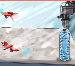Ammonia Spikes Solution