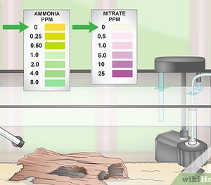 Track Water Quality