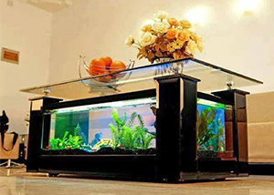 Aquarium in a Centre Table – Striking and Modern!