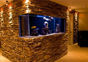 Aquarium On A Corner Wall – Space Saving