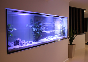 Aquarium On A Wall – Statement Making