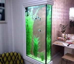 Aquarium walls