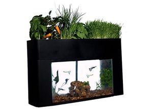 AquaSprouts ‎AquaSprouts Garden