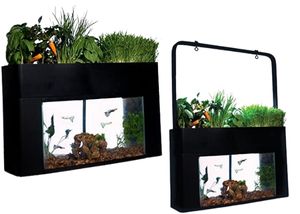 AquaSprouts