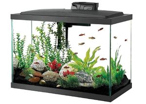 Aqueon Aquarium Fish Tank 100530578