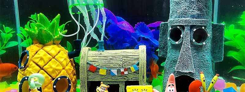 Best Decorations For Your Fish Tank