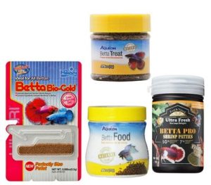 Betta Fish Eat