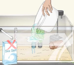 Can I Use Sea Salt Instead of Aquarium Salt