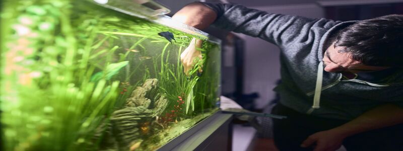 Common Problems With 100 Gallon Tanks