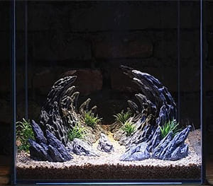 Decoration for the Dragon Valley Aquarium