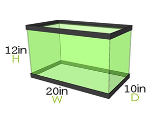 Dimensions of 10-Gallon of Fish Tank