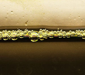 Discoloration of Water in the Aquarium