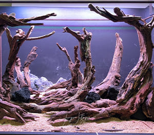 Driftwood for Fish Tank