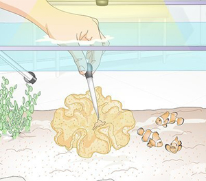 Enhanced Polyp Expansion