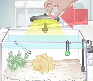 Enhanced Resistance to Environmental Challenges