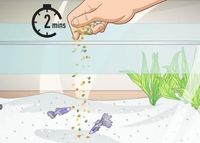 Feeding frequency and portion control