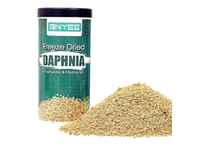 Freeze Dried Daphnia Fish Food