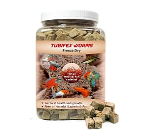 Freeze Dried Protein Treats