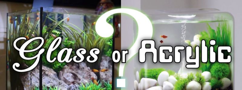 Glass Vs Acrylic Aquarium