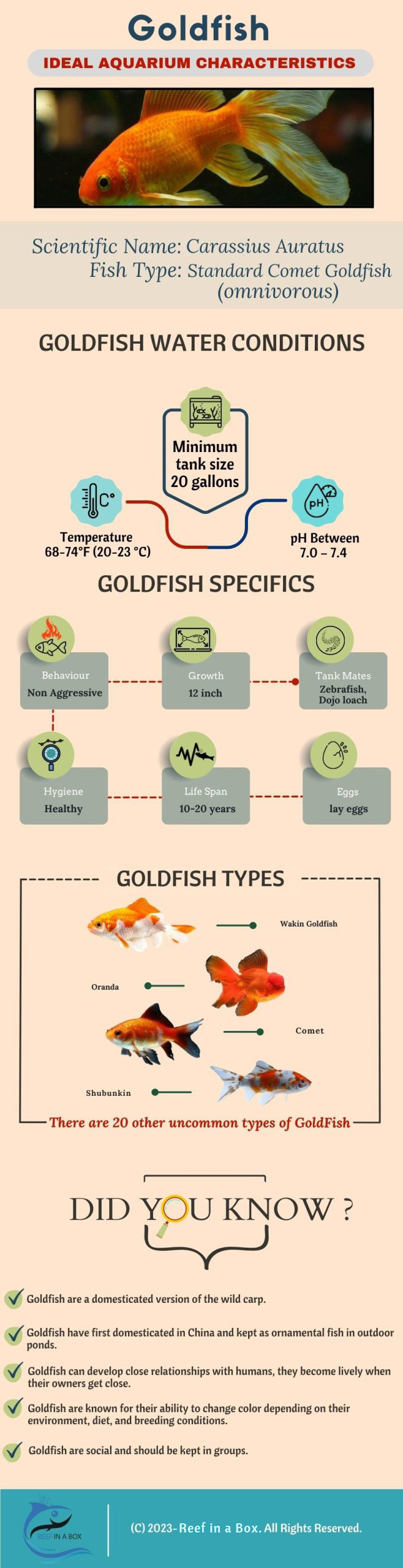 Goldfish [Infographic]