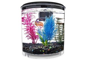 Imagitarium Petco Brand
