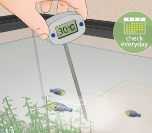 Increase the Water Temperature