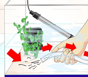 Killing Parasites in Natural Way