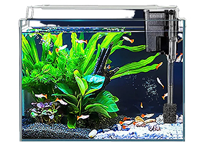 LAQUAL 3 Gallon Ultra Clear Glass Fish Tank
