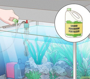 Liquid Fertilizer