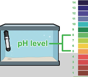 Maintain pH 