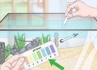 Maintaining proper pH and temperature levels