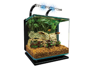 Marineland's Framed Fish Bowl with Light