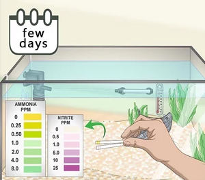 Measuring Nitrate Levels