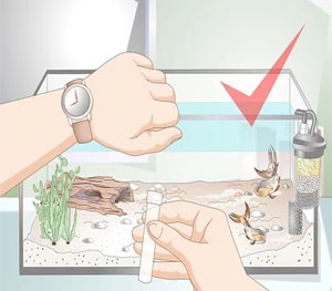 Monitor Nitrate Levels