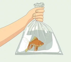 Moving Your Fish Tank