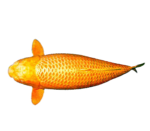 Ogon