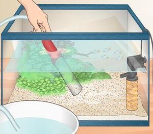 Over Cleaning