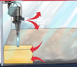 Place sponge filter: