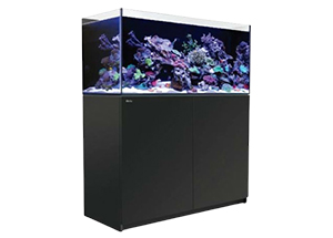 Red Sea Reefer 425 XL