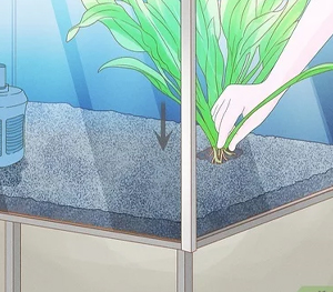 Root Tabs