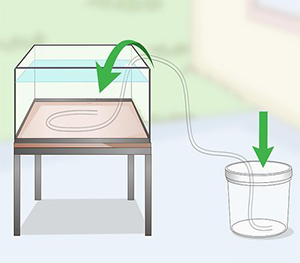 Siphon Water into Container