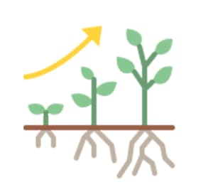 Slow Growth Rate Solution