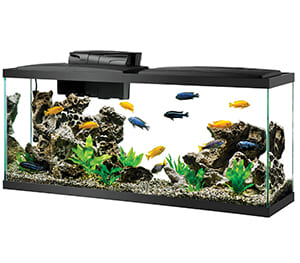 Standard 55 Gallon Tank