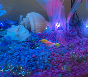 Submersion Light Decoration