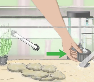 Tank Component Setup